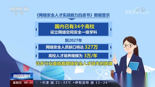 2026網(wǎng)絡(luò)空間安全專(zhuān)業(yè)就業(yè)前景 非常詳細(xì) 零基礎(chǔ)入門(mén)到精通,收藏這篇就夠了